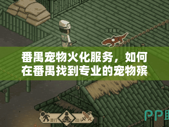 番禺宠物火化服务，如何在番禺找到专业的宠物殡葬解决方案？