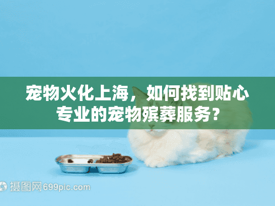 宠物火化上海，如何找到贴心专业的宠物殡葬服务？