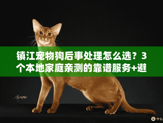 镇江宠物狗后事处理怎么选？3个本地家庭亲测的靠谱服务+避坑技巧