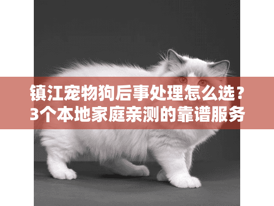 镇江宠物狗后事处理怎么选？3个本地家庭亲测的靠谱服务+避坑技巧