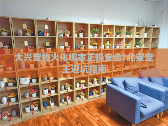 大兴宠物火化哪家正规安全?北京宠主避坑指南