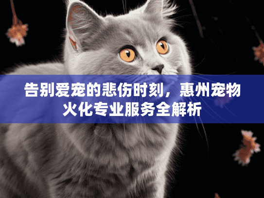 告别爱宠的悲伤时刻，惠州宠物火化专业服务全解析