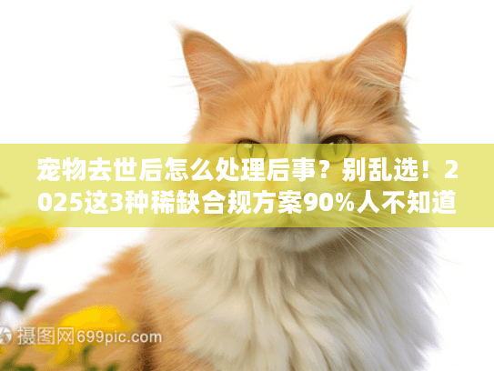 宠物去世后怎么处理后事？别乱选！2025这3种稀缺合规方案90%人不知道（附真实案例）