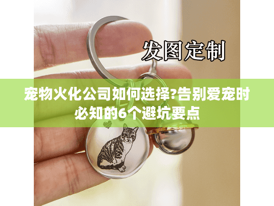 宠物火化公司如何选择?告别爱宠时必知的6个避坑要点