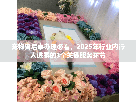 宠物狗后事办理必看，2025年行业内行人透露的3个关键服务环节