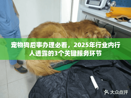 宠物狗后事办理必看，2025年行业内行人透露的3个关键服务环节