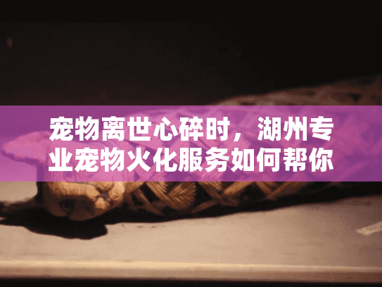 宠物离世心碎时，湖州专业宠物火化服务如何帮你解脱？