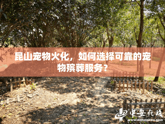 昆山宠物火化，如何选择可靠的宠物殡葬服务？