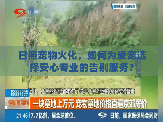 日照宠物火化，如何为爱宠选择安心专业的告别服务？