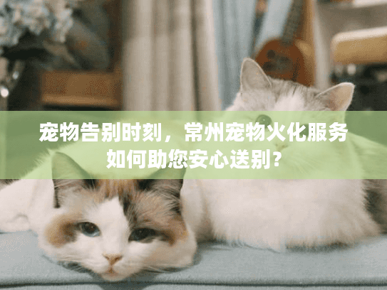 宠物告别时刻，常州宠物火化服务如何助您安心送别？
