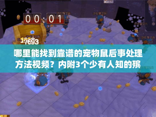 哪里能找到靠谱的宠物鼠后事处理方法视频?内附3个少有人知的殡葬服务避坑技巧 哪里能找到靠谱的宠物鼠后事处理方法视频?内附3个少有人知的殡葬服务避坑技巧