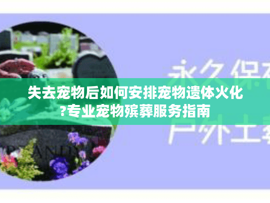 失去宠物后如何安排宠物遗体火化?专业宠物殡葬服务指南
