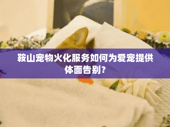 鞍山宠物火化服务如何为爱宠提供体面告别？