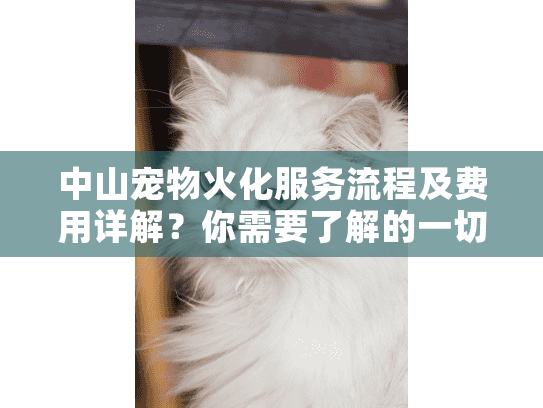 中山宠物火化服务流程及费用详解？你需要了解的一切都在这里