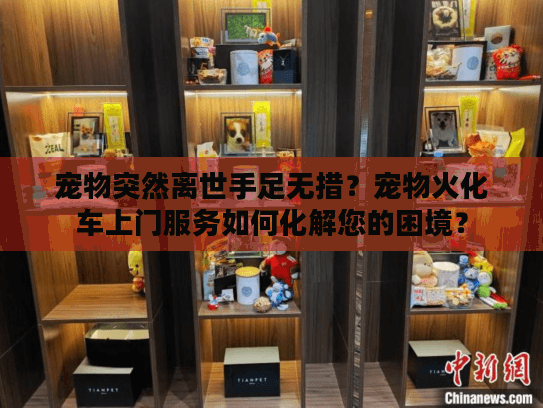 宠物突然离世手足无措？宠物火化车上门服务如何化解您的困境？