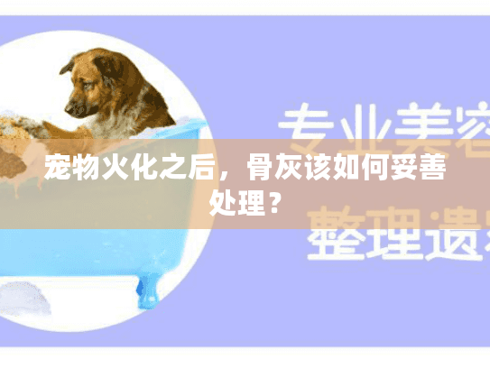 宠物火化之后，骨灰该如何妥善处理？
