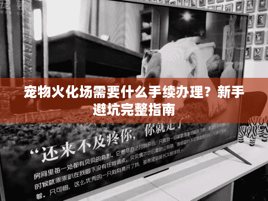 宠物火化场需要什么手续办理？新手避坑完整指南