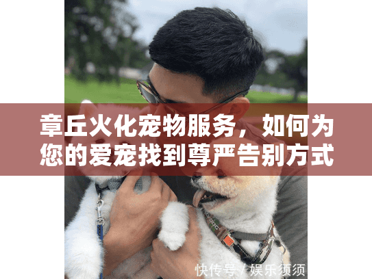 章丘火化宠物服务，如何为您的爱宠找到尊严告别方式？