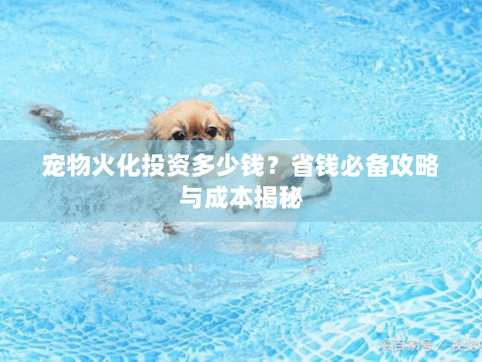 宠物火化投资多少钱？省钱必备攻略与成本揭秘