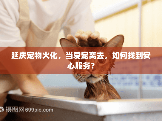 延庆宠物火化，当爱宠离去，如何找到安心服务？