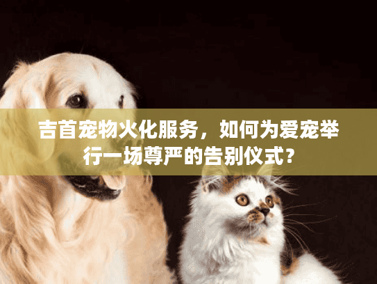 吉首宠物火化服务，如何为爱宠举行一场尊严的告别仪式？