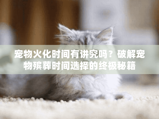 宠物火化时间有讲究吗？破解宠物殡葬时间选择的终极秘籍