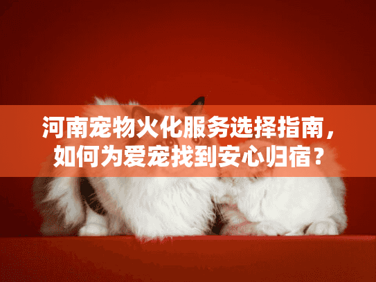河南宠物火化服务选择指南，如何为爱宠找到安心归宿？