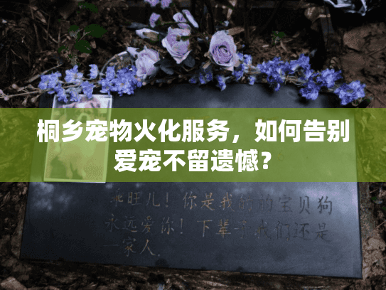 桐乡宠物火化服务，如何告别爱宠不留遗憾？