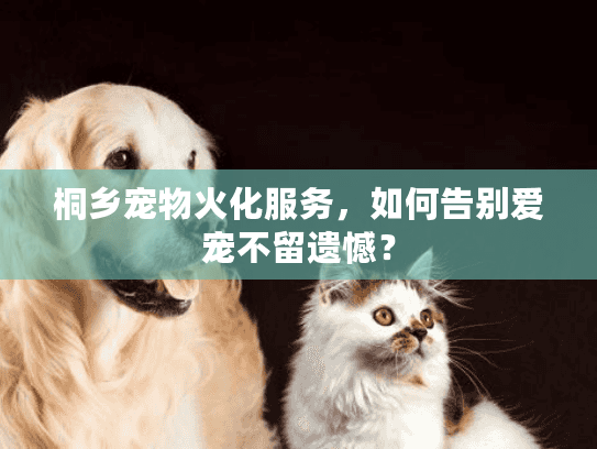 桐乡宠物火化服务，如何告别爱宠不留遗憾？