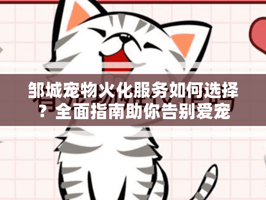 邹城宠物火化服务如何选择？全面指南助你告别爱宠