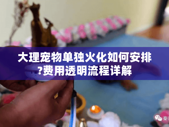 大理宠物单独火化如何安排?费用透明流程详解