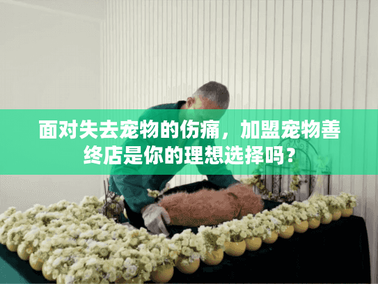 面对失去宠物的伤痛，加盟宠物善终店是你的理想选择吗？