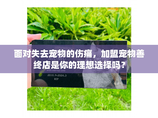 面对失去宠物的伤痛，加盟宠物善终店是你的理想选择吗？