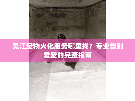 吴江宠物火化服务哪里找？专业告别爱宠的完整指南