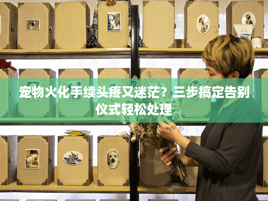 宠物火化手续头疼又迷茫？三步搞定告别仪式轻松处理