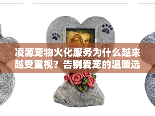 凌源宠物火化服务为什么越来越受重视？告别爱宠的温暖选择