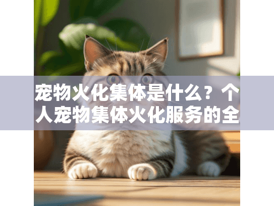 宠物火化集体是什么？个人宠物集体火化服务的全过程解析