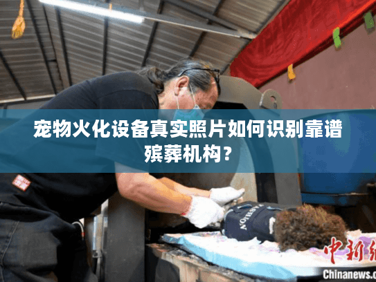宠物火化设备真实照片如何识别靠谱殡葬机构？