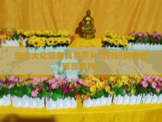 宠物火化设备真实照片如何识别靠谱殡葬机构？