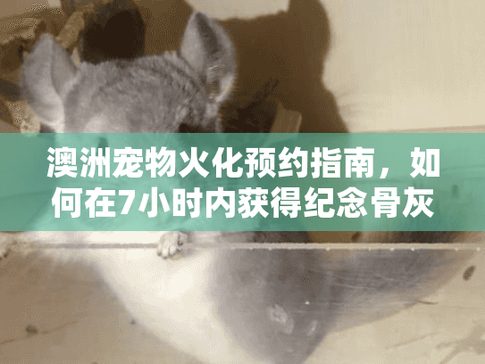 澳洲宠物火化预约指南，如何在7小时内获得纪念骨灰盒