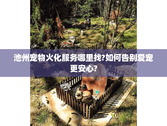 池州宠物火化服务哪里找?如何告别爱宠更安心?