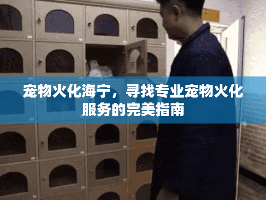 宠物火化海宁，寻找专业宠物火化服务的完美指南
