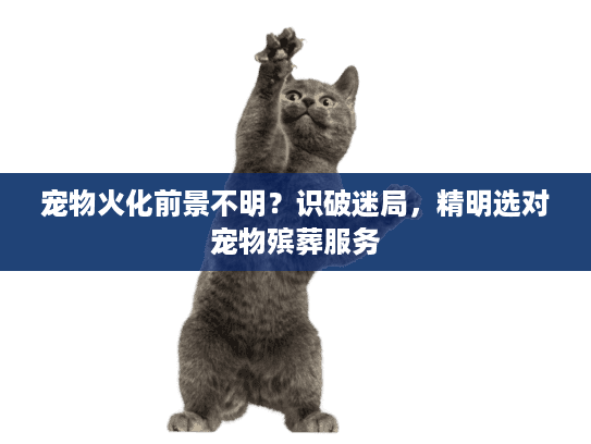 宠物火化前景不明？识破迷局，精明选对宠物殡葬服务