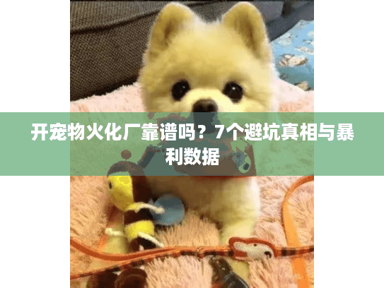 开宠物火化厂靠谱吗？7个避坑真相与暴利数据