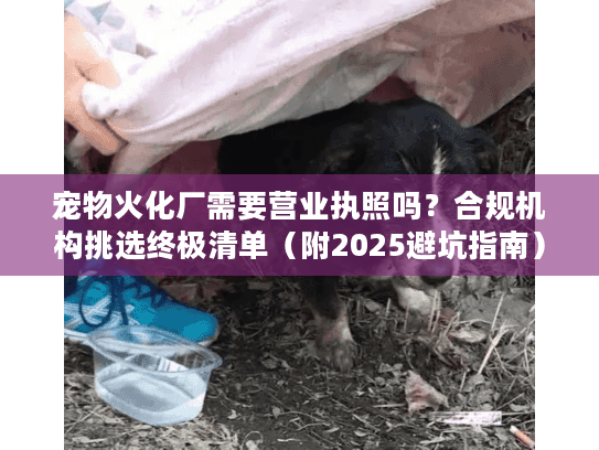 宠物火化厂需要营业执照吗？合规机构挑选终极清单（附2025避坑指南）
