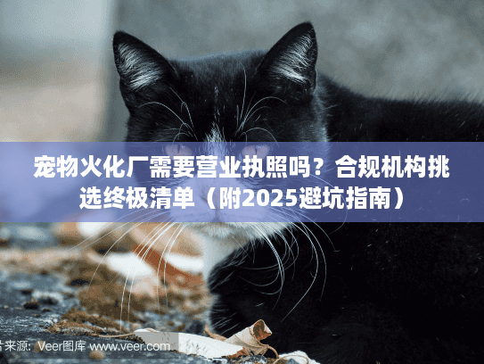 宠物火化厂需要营业执照吗？合规机构挑选终极清单（附2025避坑指南）