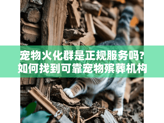 宠物火化群是正规服务吗?如何找到可靠宠物殡葬机构