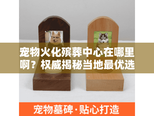 宠物火化殡葬中心在哪里啊？权威揭秘当地最优选择路径