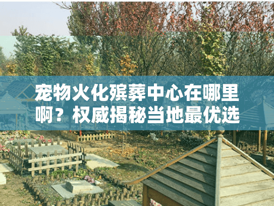 宠物火化殡葬中心在哪里啊？权威揭秘当地最优选择路径