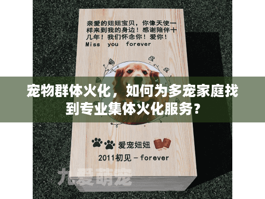 宠物群体火化，如何为多宠家庭找到专业集体火化服务？